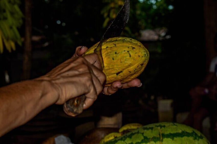 Cocoa - Casda tipica