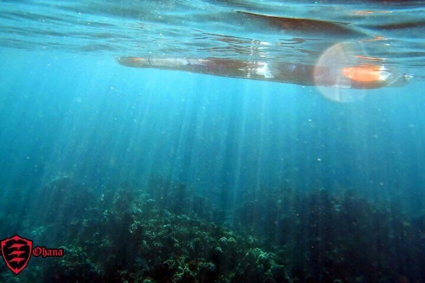 Clear Kayak Tour in Maui