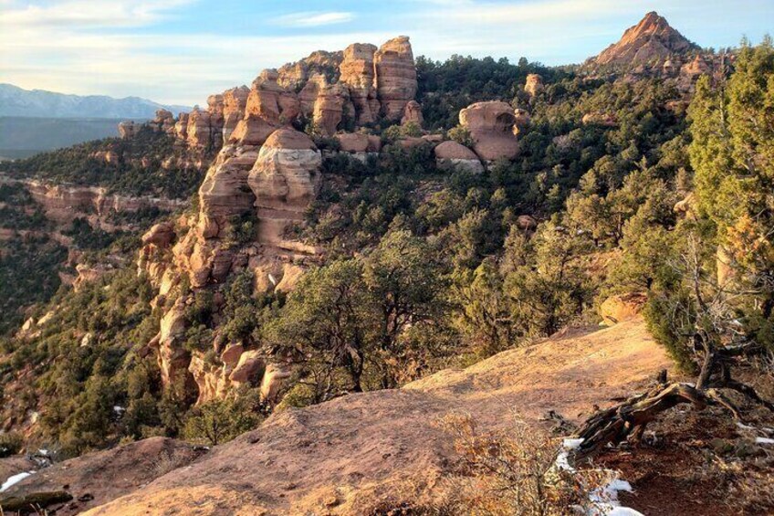 Zion National Park/Kolob Terrace Private 1/2 Day Sightseeing Tour