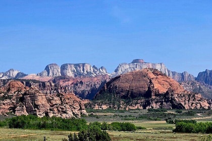 Zion National Park/Kolob Terrace Private 1/2 Day Sightseeing Tour