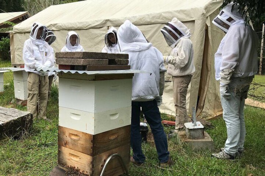 Private 2-Hour Beekeeping Classroom Tour in Honokaa