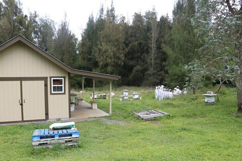 Private 2-Hour Beekeeping Classroom Tour in Honokaa