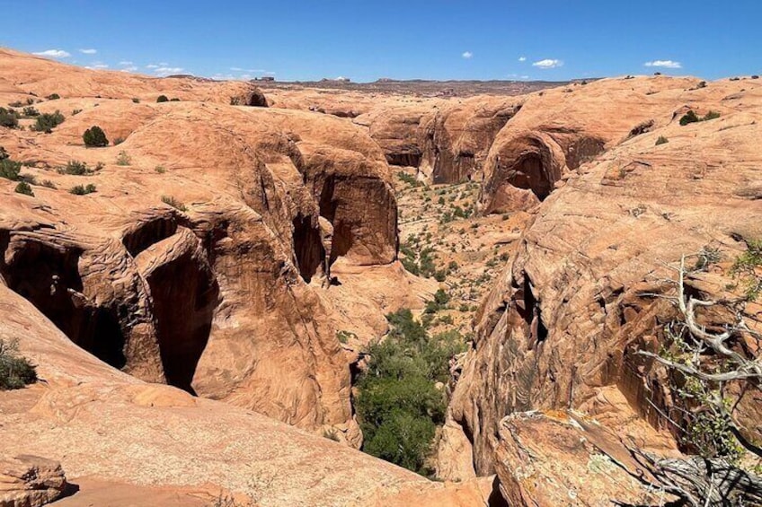 You Drive-Guided Hell's Revenge UTV Tour