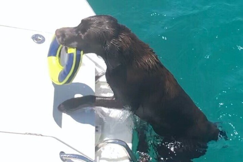 Day trip on a sailing catamaran in Sardinia