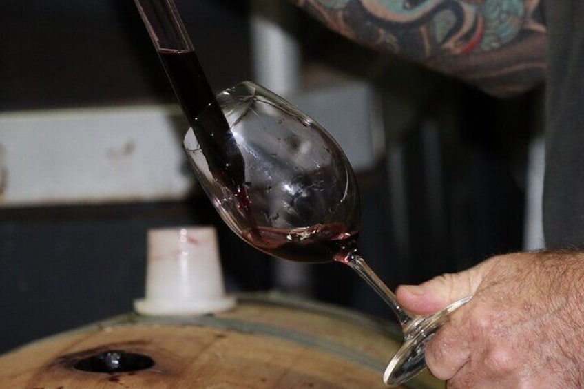 Taste wine straight from the barrel