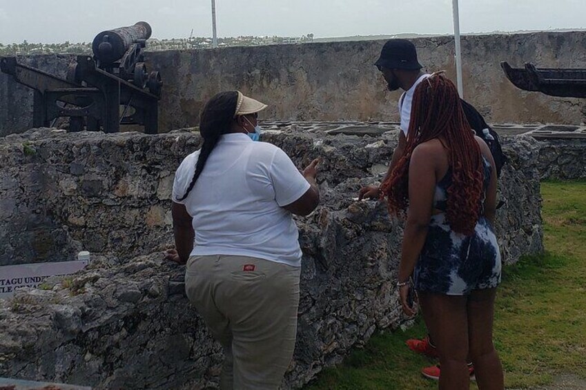 Half-Day Private City Tour in Nassau