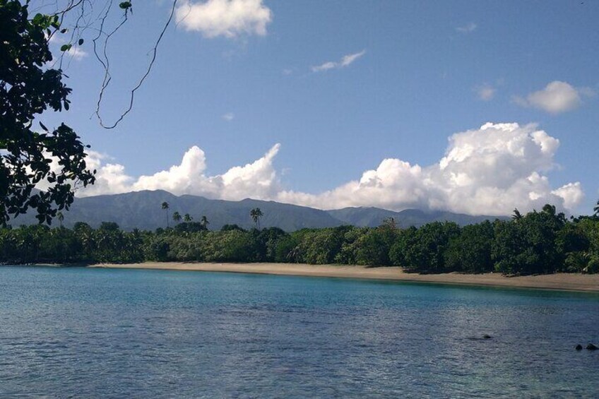 National Park Lava Cliffs and Black Sand Beach