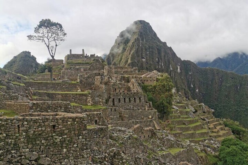 Full-Day Private Tour to Machu Picchu from Cusco