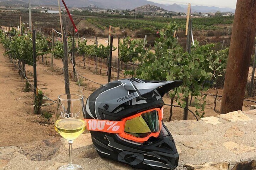 Small-Group Off-Road Adventure in Valle de Guadalupe