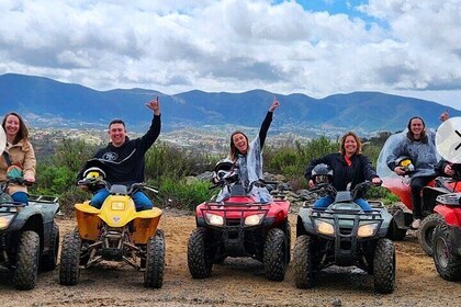 Aventure tout-terrain en VTT dans la vallée de Guadalupe + visite d'un vign...