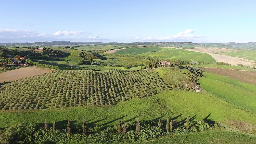 Exploring Chianti by Electric Vespa - Self Drive