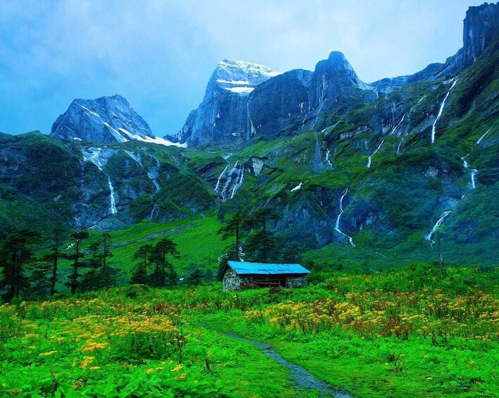 9-Day Wellness And Adventure in Great Himalayan National Park : Manali