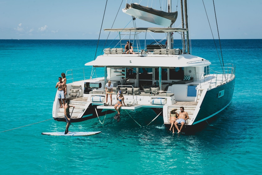 Luxury Catamaran, Snorkel and Dining Experience 