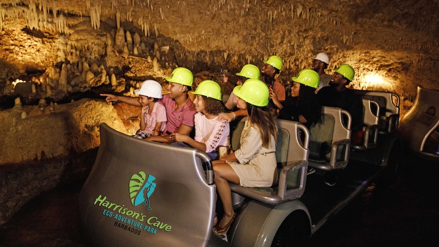 Harrison’s Cave Tram and Nature Walk Experience