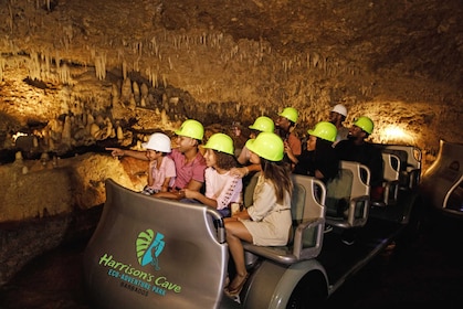 Randonnée en tramway et marche dans la nature dans la grotte de Harrison