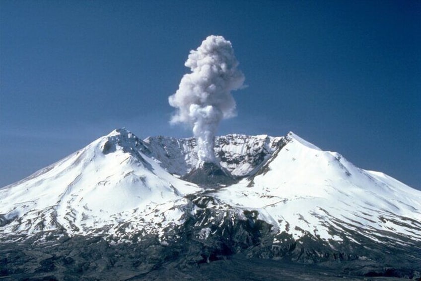 Small-group Mt. St. Helen National Park Tour from Seattle in SUV