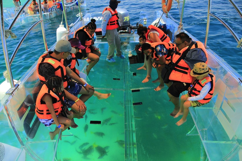 Clearboat to Cabo Land End- Glassbottom boat to the Arch