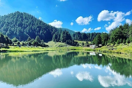 Fly Fishing Experience Near Mexico City