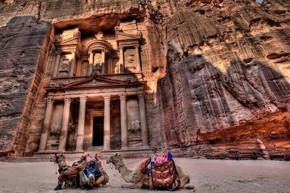 Petra Full Day Trip from Amman