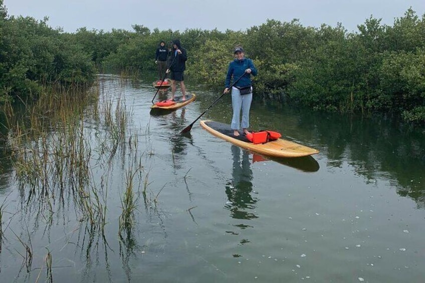 Florida has some of the best mangrove canals1