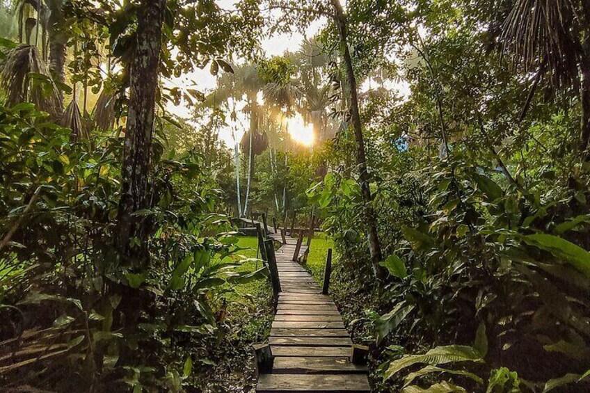 Amazonas Natural and Cultural 5 Days Tour