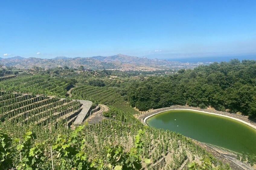 Amazing private Etna panoramic tour+Wine taste & food combination