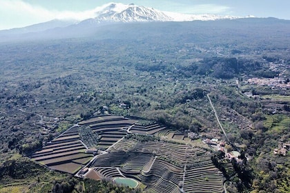 Etna panoramic private tour+Wine taste&food combination(AMAZING)