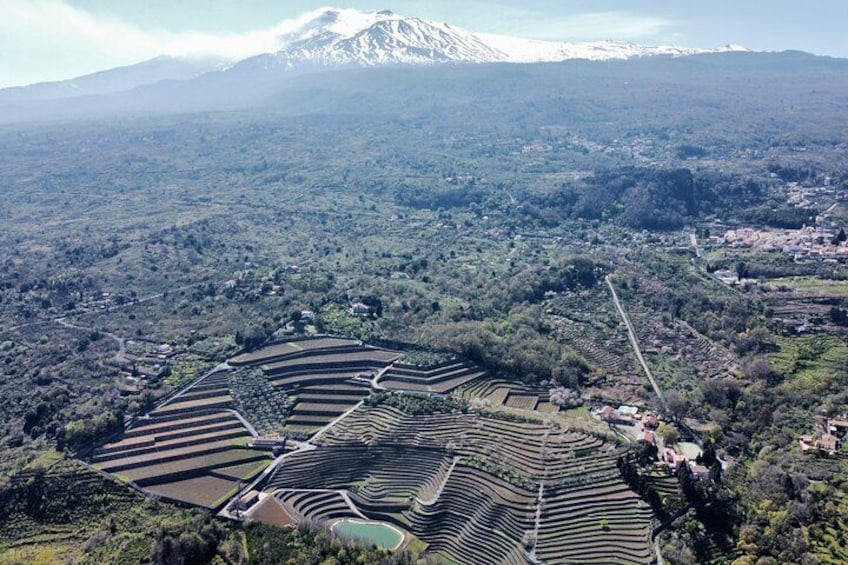 our winery from the sky