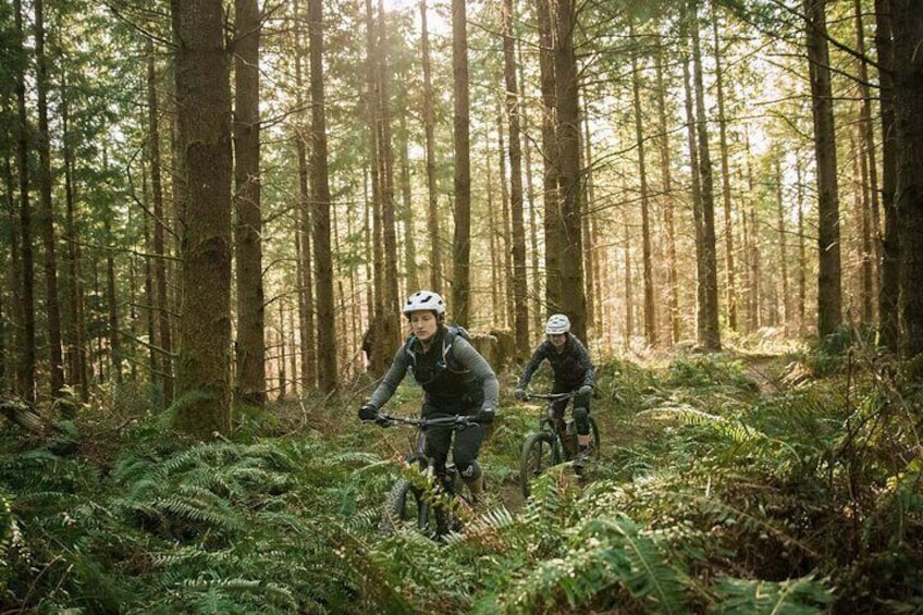 E-Bike Tour to Harrys Rock or Corfe Castle