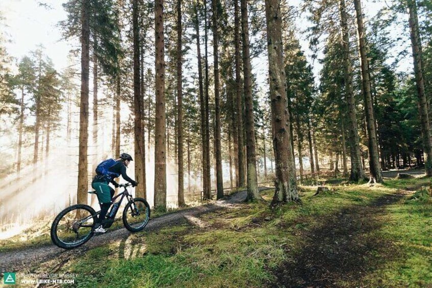 E-Bike Tour to Harrys Rock or Corfe Castle