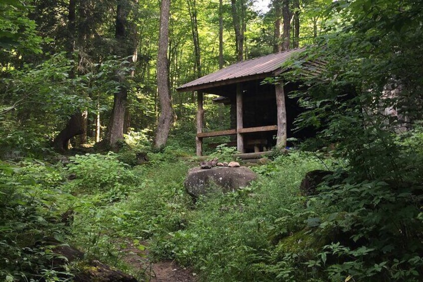 Visit a backcountry shelter!