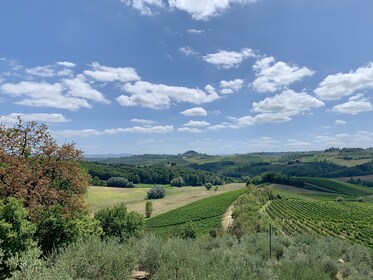 Tour privado de la experiencia de la Toscana desde Florencia a Pisa, Siena,...