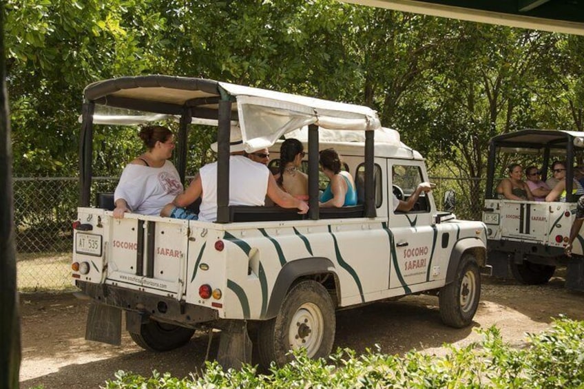 Safari Jeep Tour
