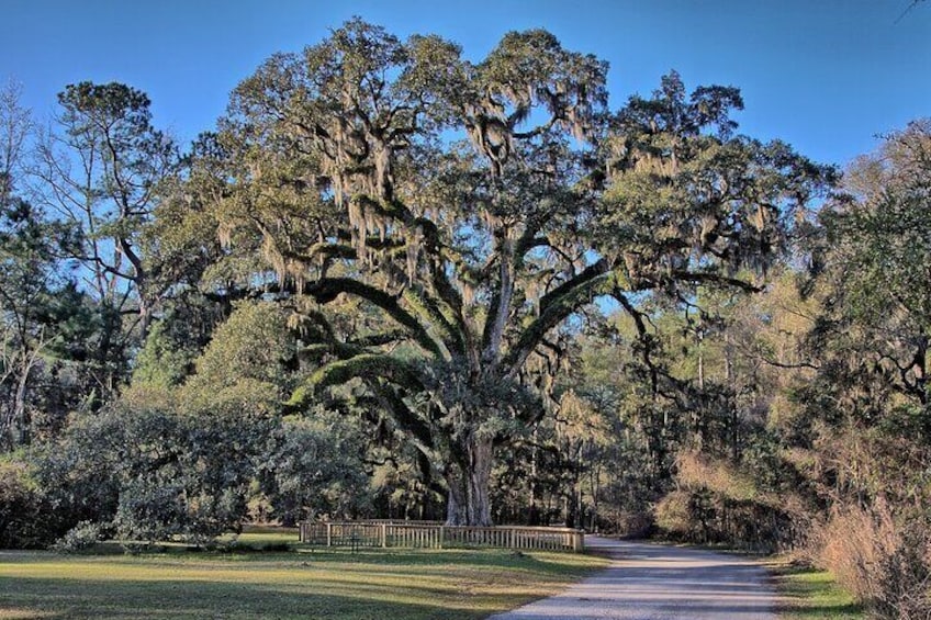 Historic Blakeley State Park