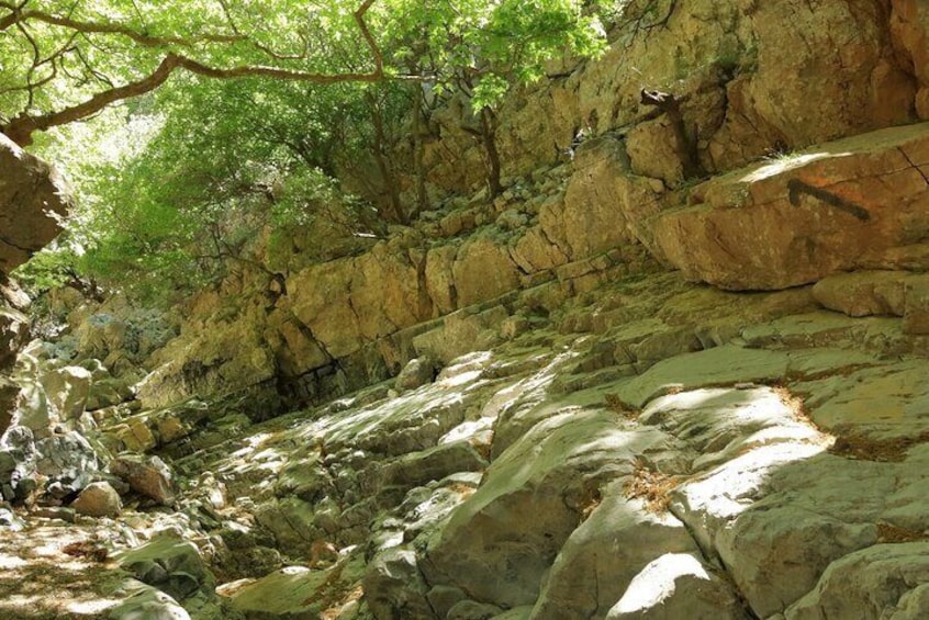 Off-Road: Lake Kournas, Waterfalls, Gorges & Palm Beach Forest