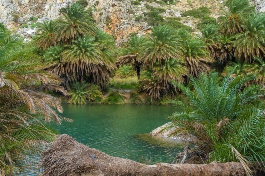 Off-Road: Lake Kournas, Waterfalls, Gorges & Palm Beach Forest
