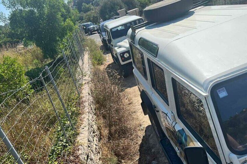 Off-Road: Lake Kournas, Waterfalls, Gorges & Palm Beach Forest 