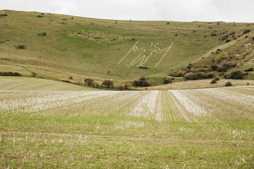 Picture 2 for Activity London: South Downs White Cliffs Day Trip with Train Tickets