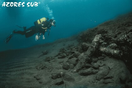 Vila Franca Do Campo: Introduction to Scuba Diving Tour