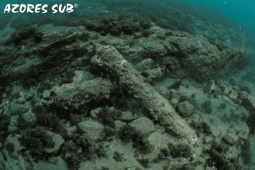 Picture 3 for Activity Vila Franca Do Campo: Introduction to Scuba Diving Tour