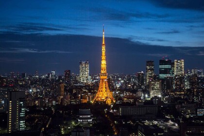 Tokyo Tower: Adgangsbillet