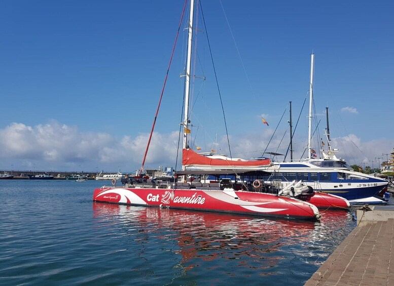 Cambrils/Salou: Coastline Catamaran 2h with drinks, pickup