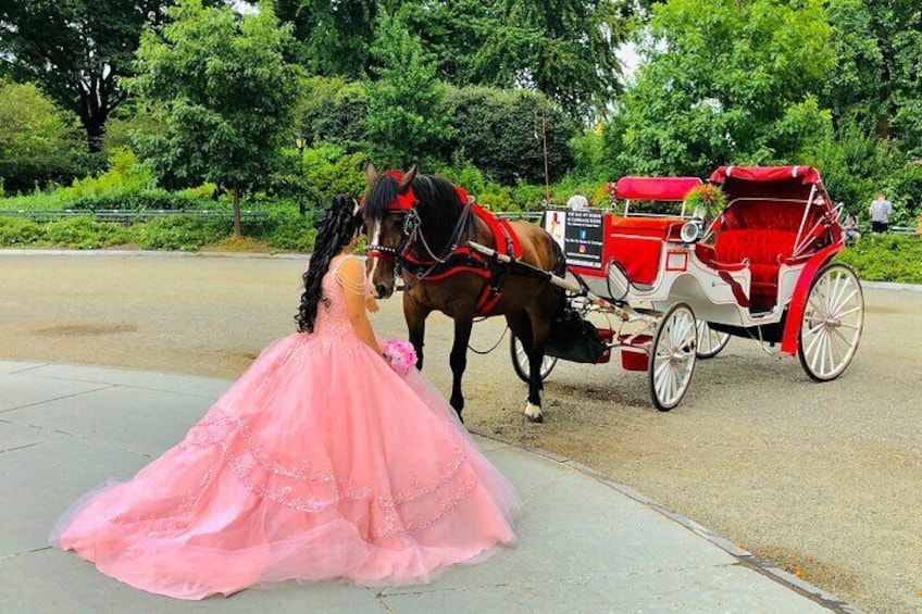 Silver the horse is making this Sweet Sixteen celebration extra special!