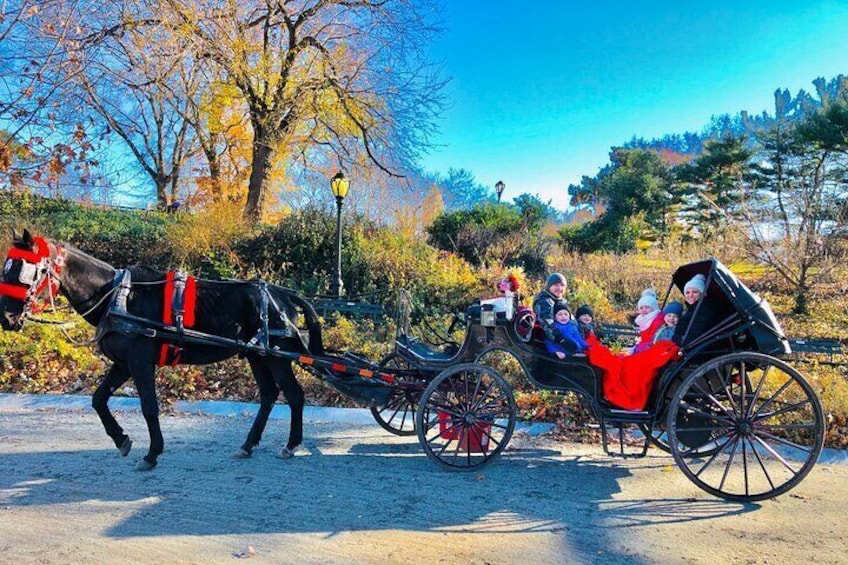 VIP Special Occasion Horse Carriage Ride in Central Park with Champagne (50 min)