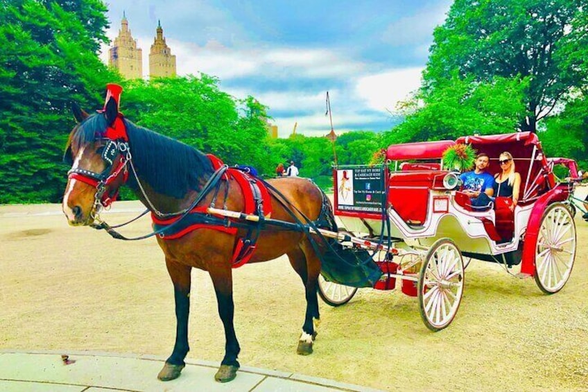 Silver the horse gives you a romantic time that will stay with you long after your ride!