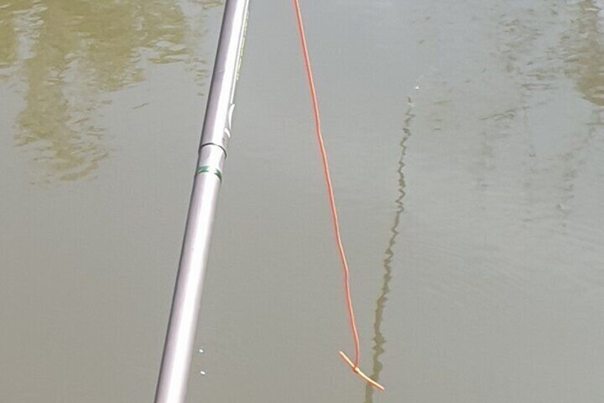 we put a rubber band on a cane suddenly to cushion the hits of large fish, it's roubaisienne fishing