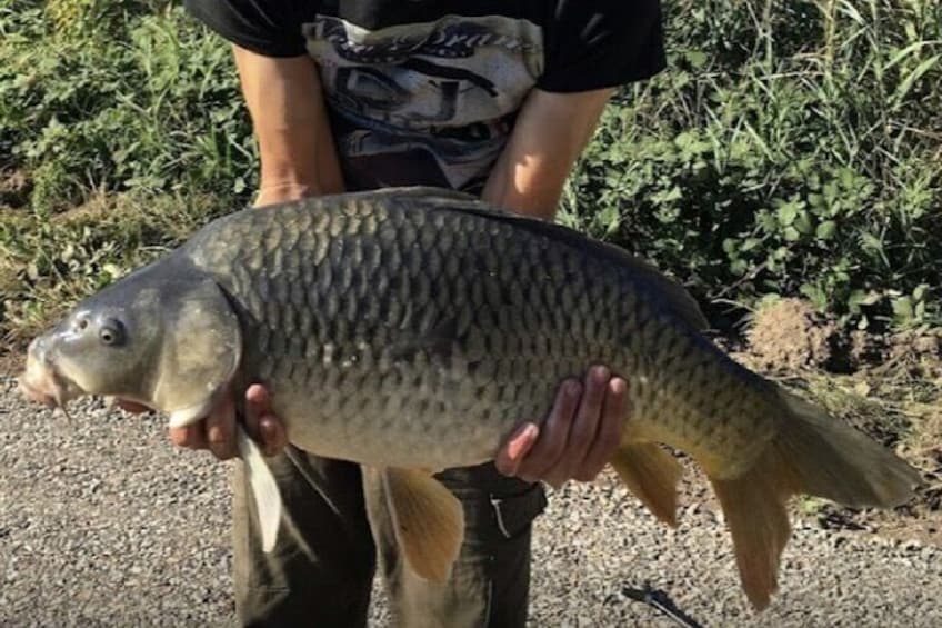 Introduction to fishing in Strasbourg ⭐⭐⭐⭐⭐