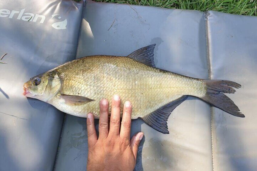 Introduction to Fishing near Strasbourg