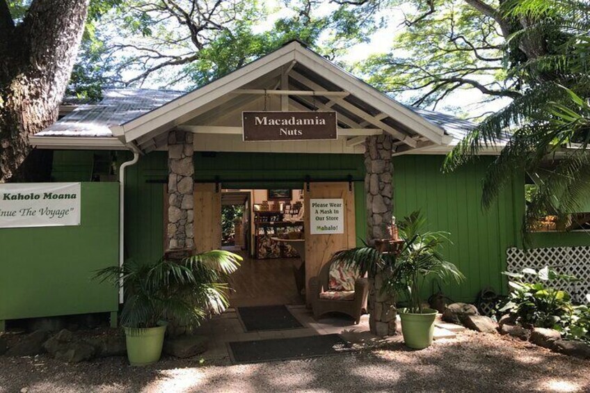 Macadamia Nut Farm