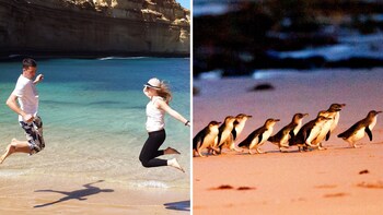 2 Tours Combo: Great Ocean Road & Phillip Island with Wheel & Zoo